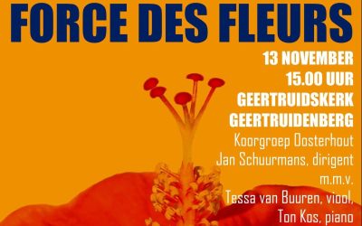 Binnenkort: ‘Force des Fleurs’ in Geertruidenberg